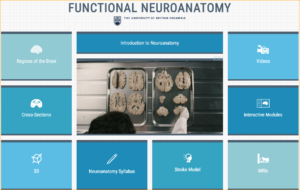 Functional Neuroanatomy Course